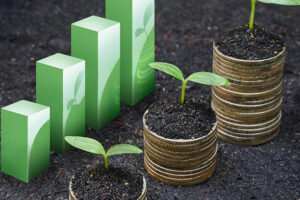 Políticas Ambientales y Sostenibilidad Económica