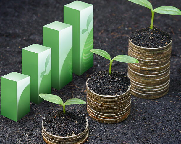politicas ambientales y sostenibilidad economica